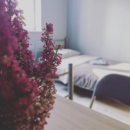 Lawendowy Hostel Wroclaw Bagian luar foto